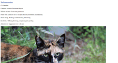 Desktop Screenshot of cjcj.com